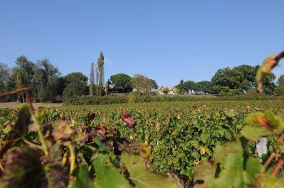SCEA Bédicheau Château LE BRUILLEAU, Vignoble à Saint-Médard-d'Eyrans