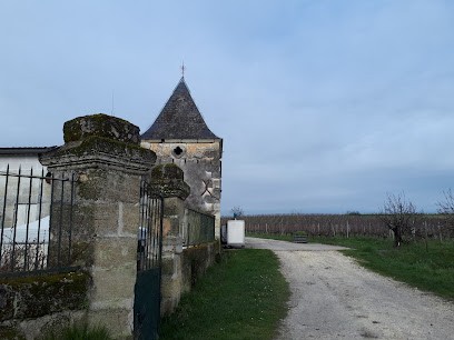Château La Brande, Certifié Bio, Vignoble à Saillans