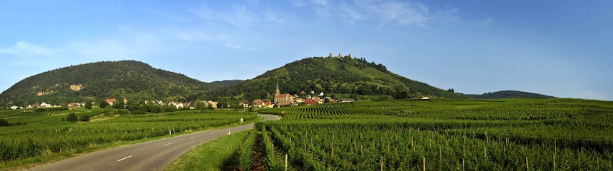 Vins Alphonse Kuentz Vignoble à Husseren-les-Châteaux