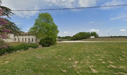 Château Soleil, Vignoble à Puisseguin