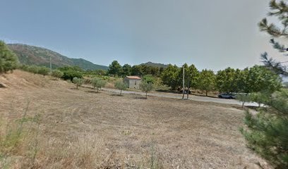 Domaine Jean-Baptiste Arena, Vignoble à Patrimonio