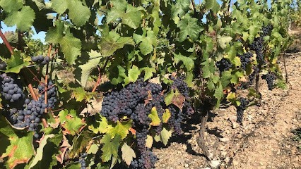 Norguet Dominique EARL, Vignoble à Thoré-la-Rochette