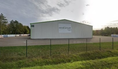 Acolyance Vigne, Vignoble à Polisot