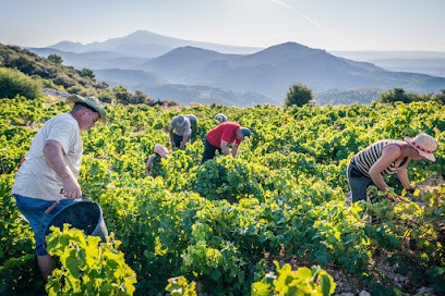 Domaine D'Ouréa, Vignoble à Vacqueyras