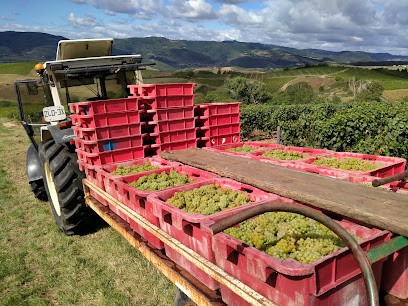 Vins Beaujolais ALIX, Vignoble à Sainte-Paule
