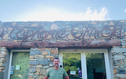 Stéphanie Olmeta, Vignoble à Patrimonio