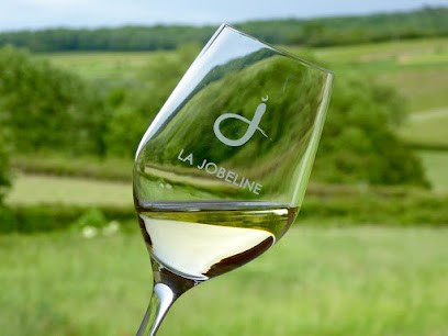 Domaine De La Jobeline, Vignoble à Verzé
