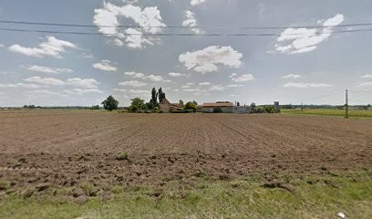 Xans Alain, Vignoble à Saint-Sulpice-de-Faleyrens