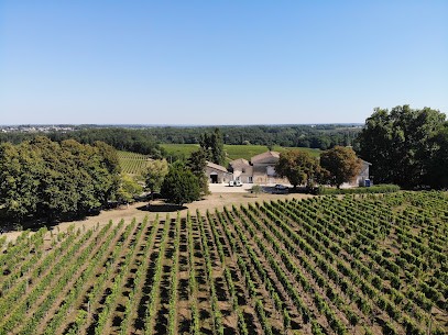 Château Teyssier, Vignoble à Puisseguin