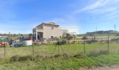Domaine De Bayet, Vignoble à Vendargues
