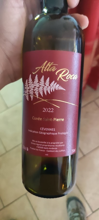 Simon Yves, Vignoble à Saint-Ambroix