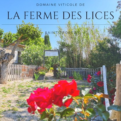 The Farm Area Of ​​the Lists, Vignoble à Saint-Tropez