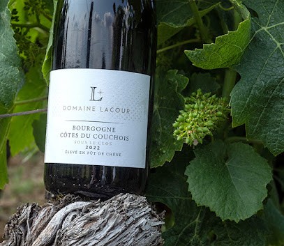 Domaine Fabrice Et Antonin LACOUR, Vignoble à Saint-Sernin-du-Plain