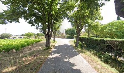 Roche Palisse Maryse Marinette, Vignoble au Pin