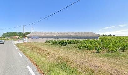 CHATEAU HOCLET, Vignoble à Saint-Ciers-de-Canesse