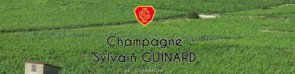 Champagne Sylvain GUINARD, Vignoble à Aÿ-Champagne