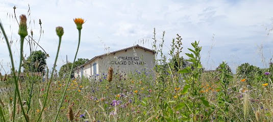 Château Grand Destieu, Vignoble à Saint-Sulpice-de-Faleyrens