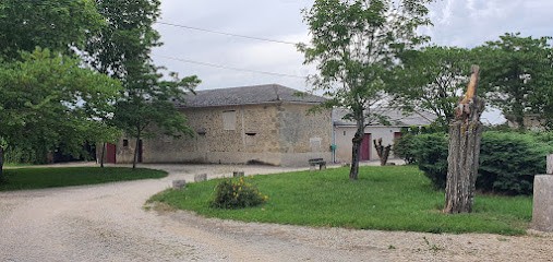 Château Pierron, Vignoble à Nérac
