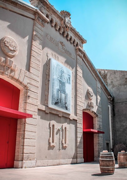 Les Vins Skalli - Fortant, Vignoble à Sète