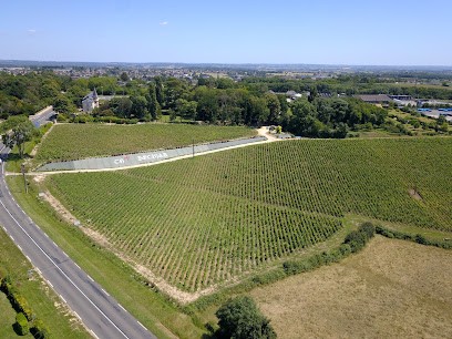 Domaine Château Belmar, Vignoble à Saint-Longis