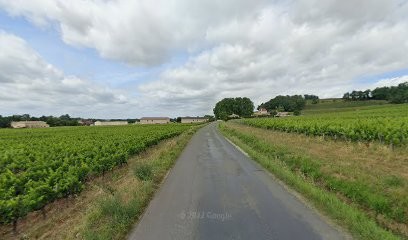 Établissements Jean-Bernard Saby, Vignoble à Saint-Laurent-des-Combes