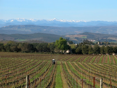 Chateau Rives-Blanques Vignoble à Cépie