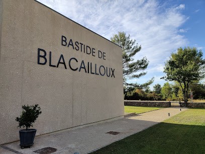 Bastide De Blacailloux, Vignoble à Tourves