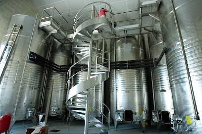 Le Domaine Vinicole Mas De Janiny - Un Terroir Vivant, Vignoble à Saint-Bauzille-de-la-Sylve