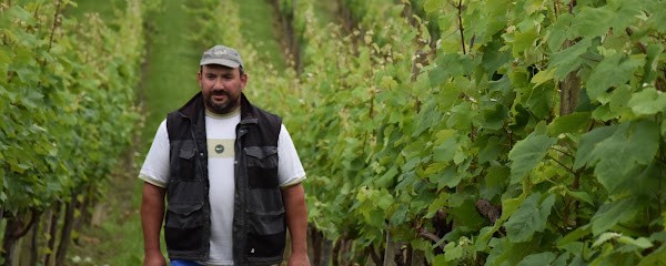 Domaine du lisé, Vignoble à Habas