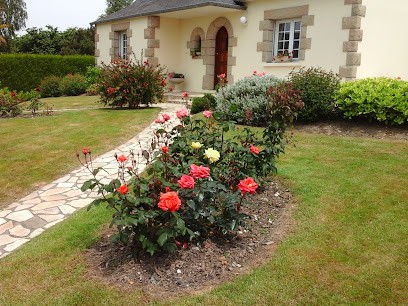 Champagne Vincent Carré, Vignoble à Trépail