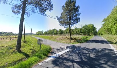 Busana Earl, Vignoble à Saint-Ferme
