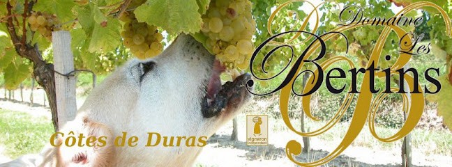 Domaine Les Bertins, Vignoble à Saint-Astier