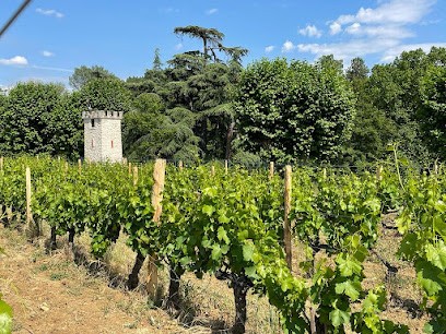 Château de Saint Laurent Vignoble SCEA, Vignoble à Mormoiron