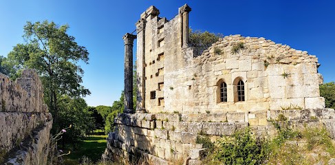 Château Bas, Vignoble à Vernègues