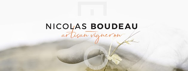Domaine Nicolas Boudeau, Vignoble à Odenas