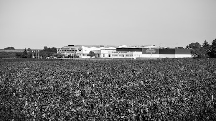 BOUTIQUE DES VIGNERONS DE PUISSEGUIN LUSSAC SAINT-EMILION, Vignoble à Puisseguin