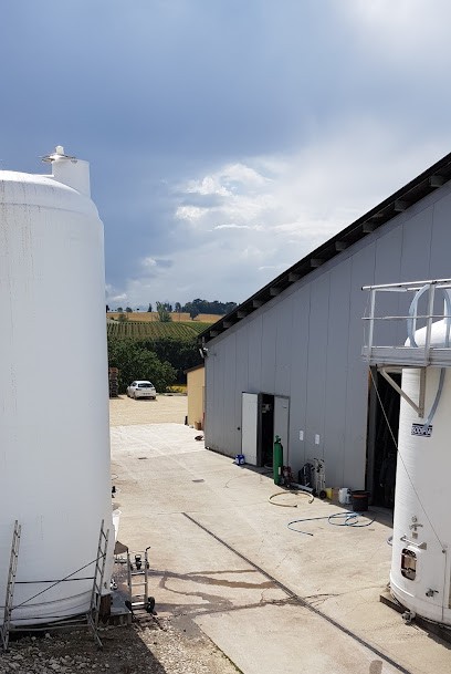 Cambos Nicolas (Terroirs de Gascogne), Vignoble à Larroque-sur-l'Osse