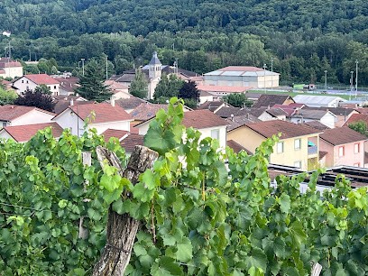 Domaine du Loup des Vignes, Vignoble à Saint-Savin