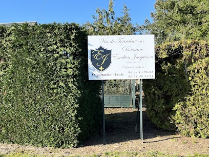 Domaine Émilien Jacqueson, Vignoble à Soings-en-Sologne