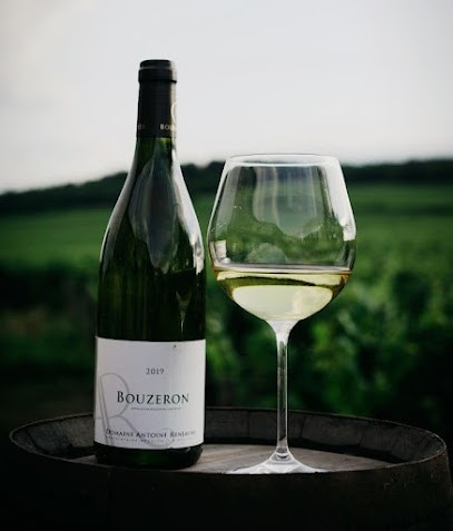 Reniaume Antoine, Vignoble à Bouzeron