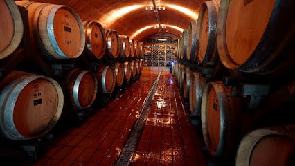 Val D'Iris, Vignoble à Seillans