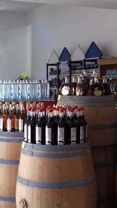 Cave de l'Aubier. Viticulteur Maxime Pinard, Vignoble à Saint-Pierre-d'Oléron