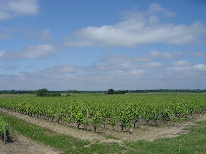 Domaine des Corbillières, Vignoble à Oisly
