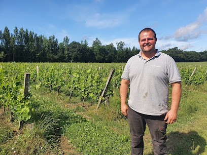 Château Peylaby | Vin Biologique, Vignoble à Saint-Germain-d'Esteuil