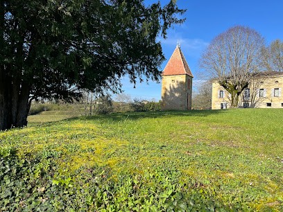 Chateau D'Anvichar, Vignoble à Saint-Genès-de-Castillon