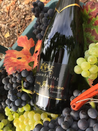 Champagne Valérie JACQUESSON, Vignoble à Villevenard