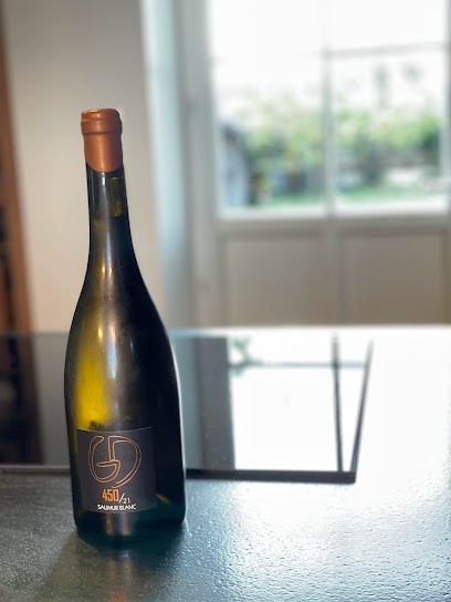 Gatien Dézé Vigneron, Vignoble à Souzay-Champigny