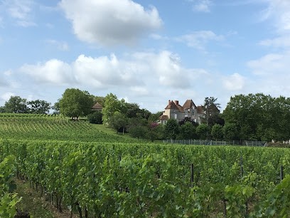 Château De Chelivette, Vignoble à Sainte-Eulalie