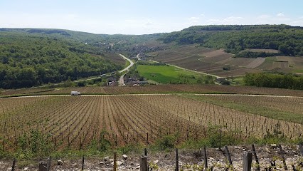 Domaine Roux (Cuverie-Winery), Vignoble à Saint-Aubin
