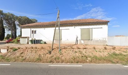 Vignobles Mayard, Vignoble à Sorgues